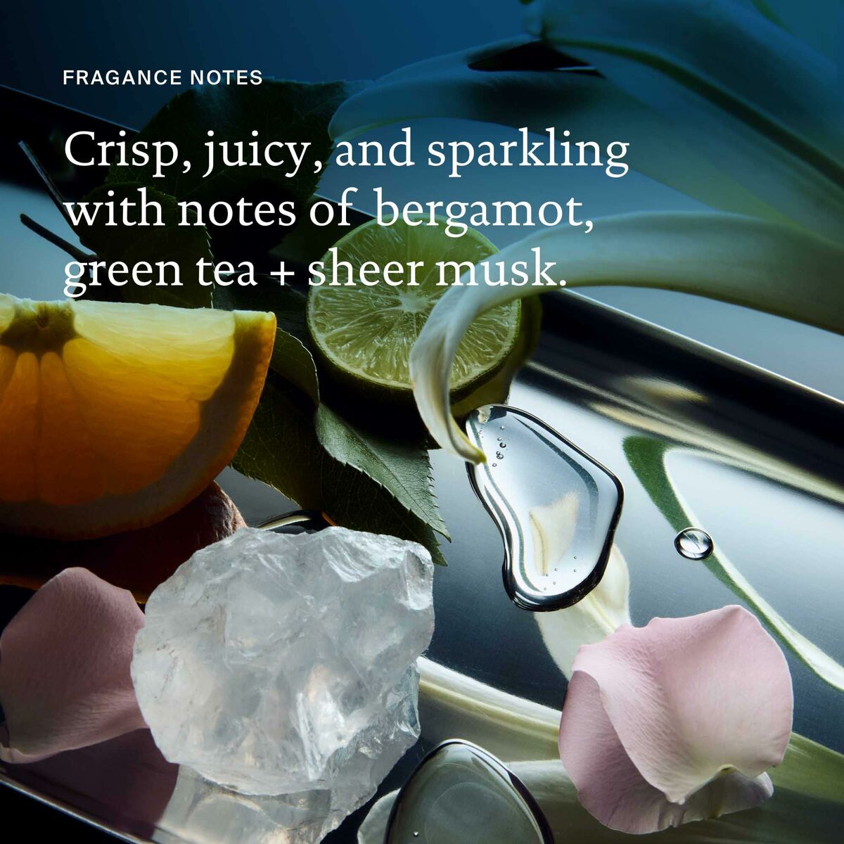 V3HB284773150512069CB879D99F520C2BER6240983P8