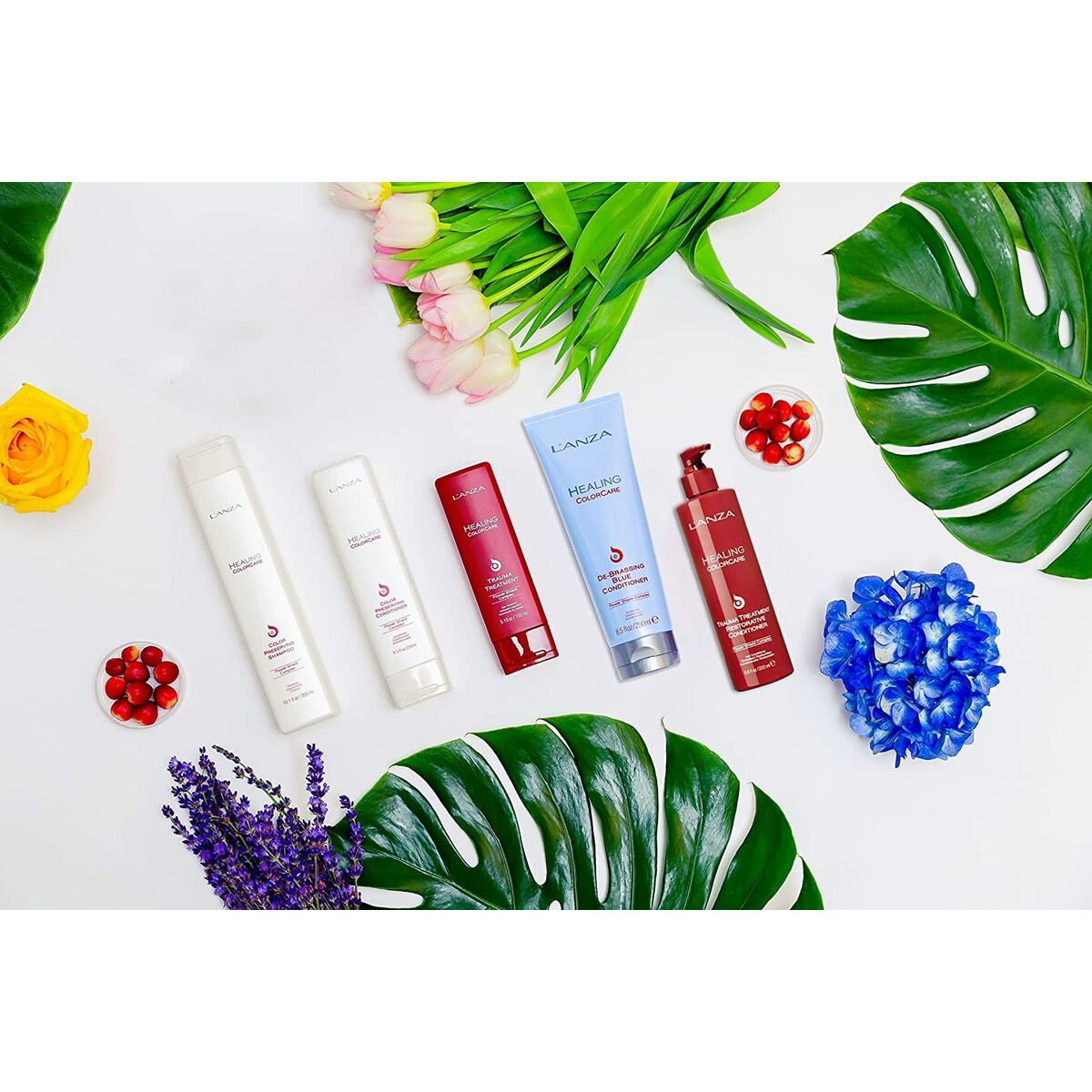 V2H2B175D42F5164DA5233CAA5B69ACDE46R7094451P4