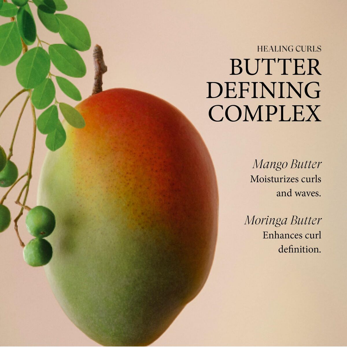 V2H6FC987B8D21B30E1FB2D2DD1B5FB8F0BR7472893P6