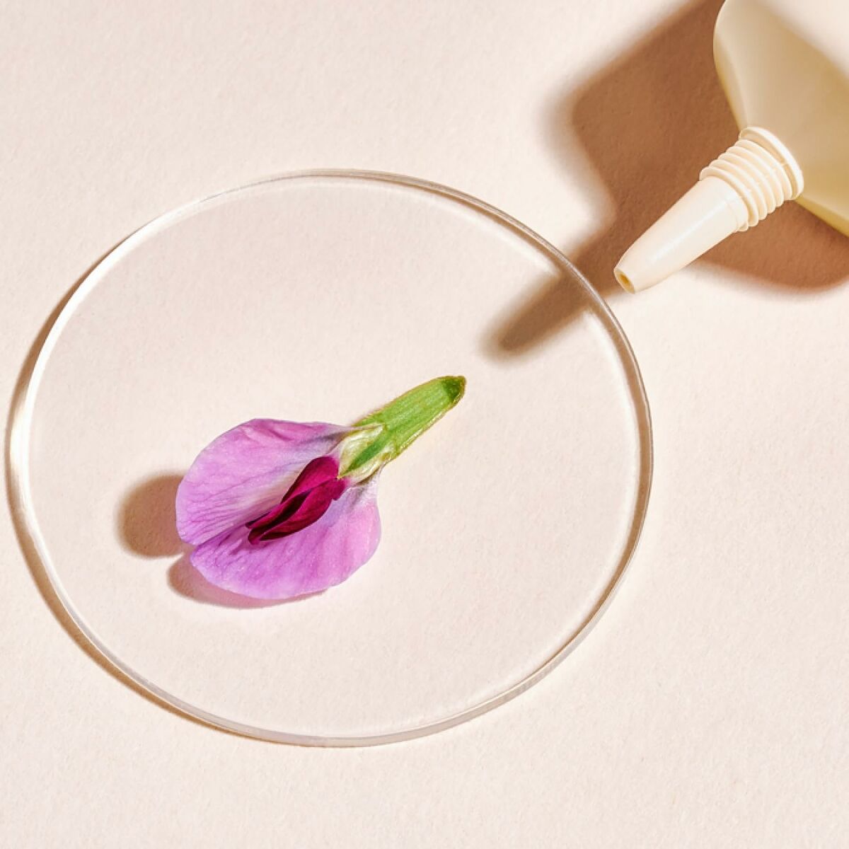 V2HEC8378880EB618C87590BEE154379A1FR7127666P5