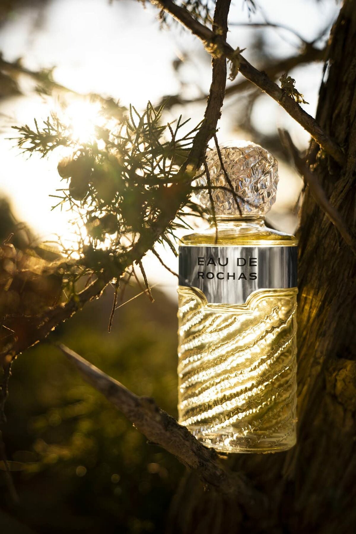 V2HD8BCE19B7F9F0164E0DFA57018E2E0BDR6845881P10