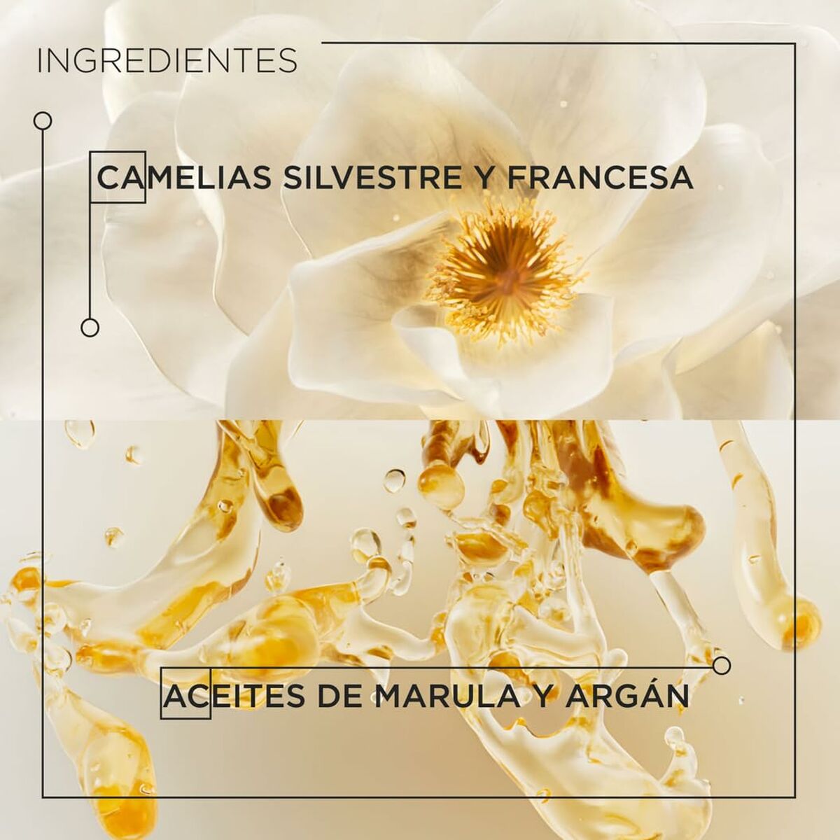 V3HA783B414DF672368C37D9335987C9173R5610723P4