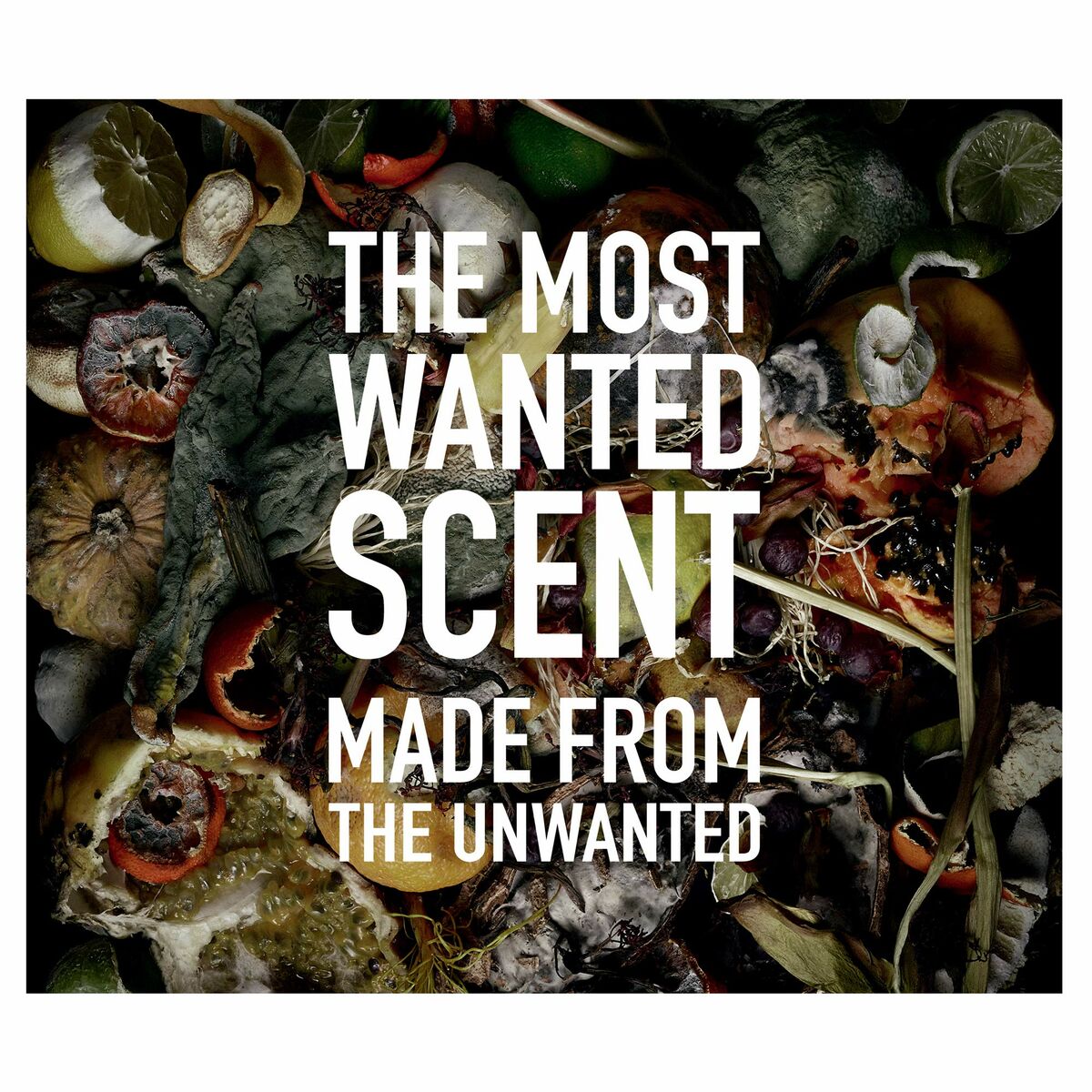 V2H5664A9DED08D851AEAAFB8CA13295FA8R6893652P5