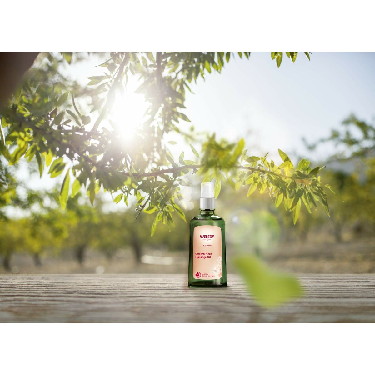 V5H7C1246AE3945BCBC8CE08697ED9B96ADR7094674P3