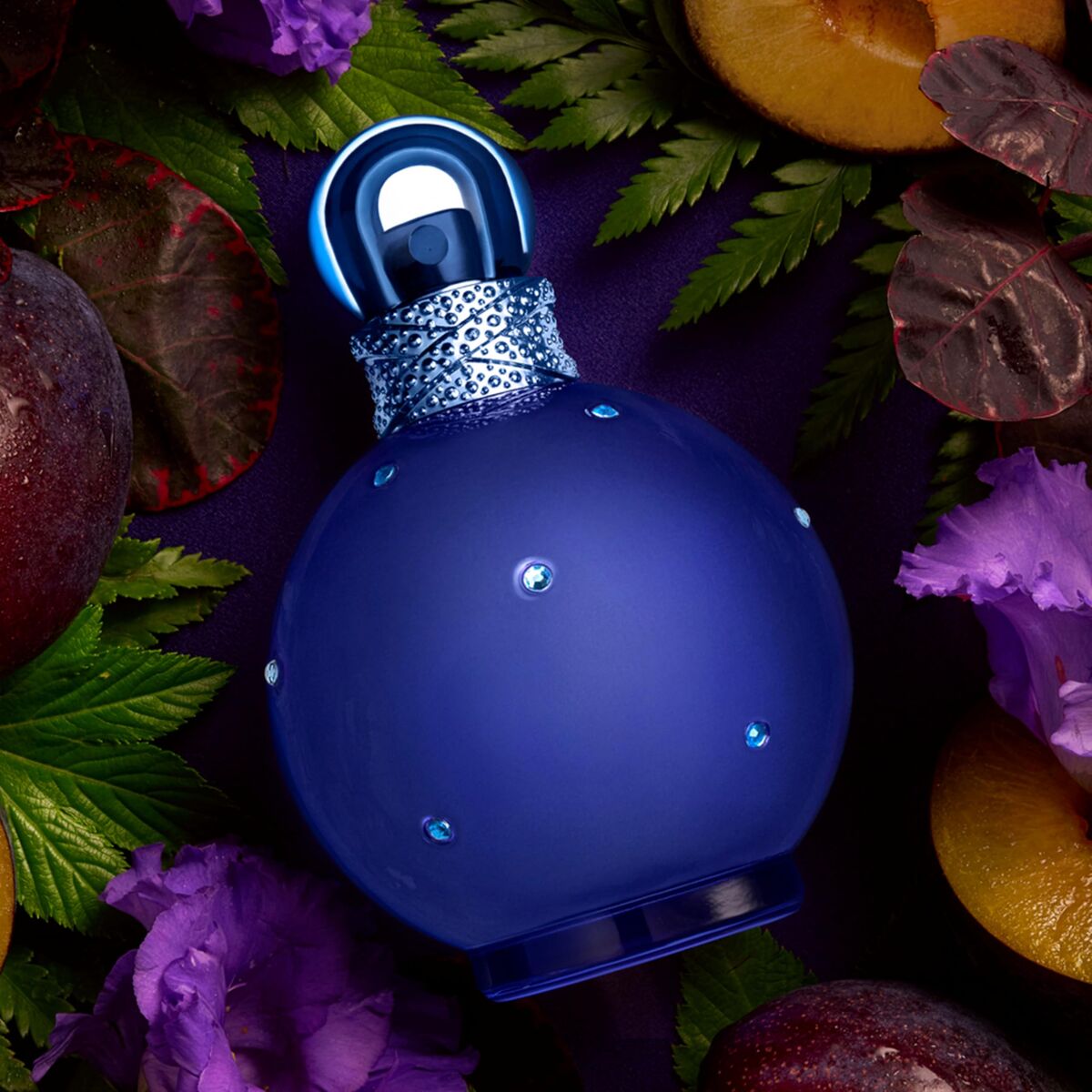 V2H0AB610523C72AAE388A8085542C50BA1R7526097P9