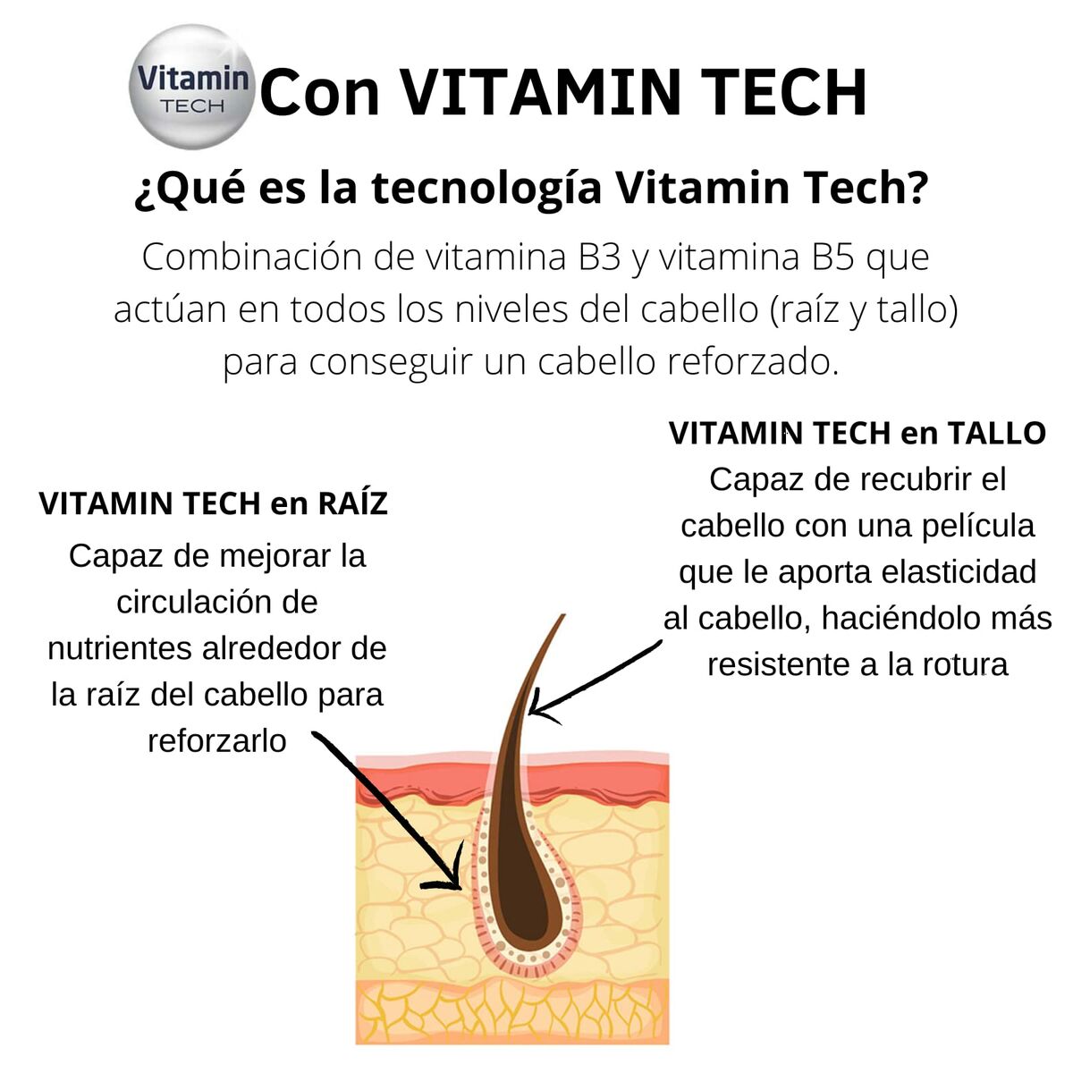 V6HC32B77E7D1B5CD373E2D2BDB2B6A4725R4327520P3